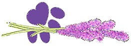 PawPrint_and_Lavender_Small_for_Web